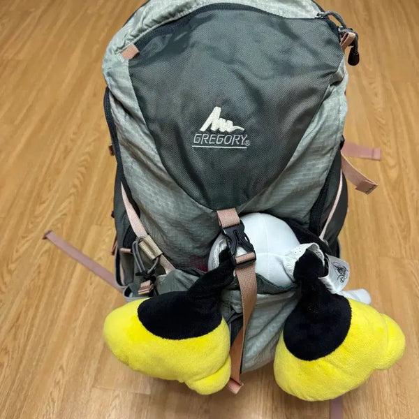 [BUNJANG] Gregory Z30 Backpack / 그레고리z30