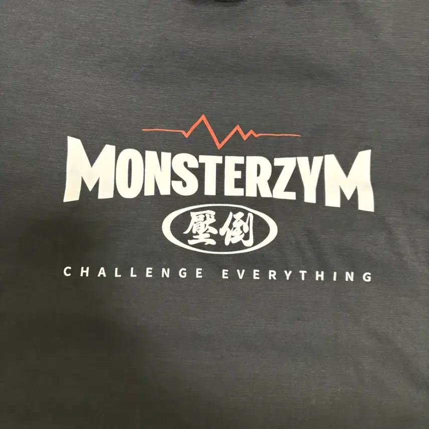 [BUNJANG] Absodo Monster Gym Limited Edition T-shirt L (Used) / 압도 몬스터짐 한정판 반팔L 중고 올라잇본투윈프리덤hdex짐웨어