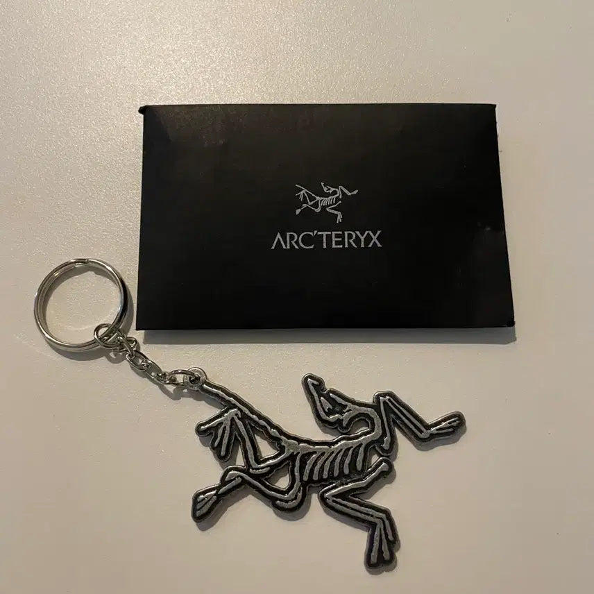 [BUNJANG] Arc'teryx Keyring / 아크테릭스 키링
