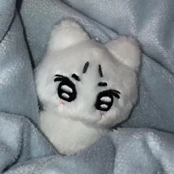 [BUNJANG] ENHYPEN Jungwon Nyangjunggun Doll / 엔하이픈 정원 냥쩡군 인형