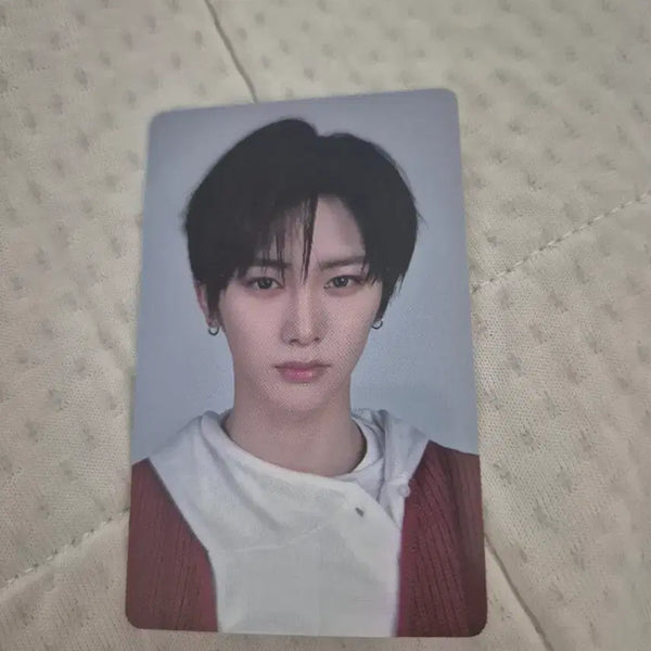 [BUNJANG] Ramen Noodle Alliance Aldiwon Ahnshin Photocard / 틈새라면 알디원 안신 포카