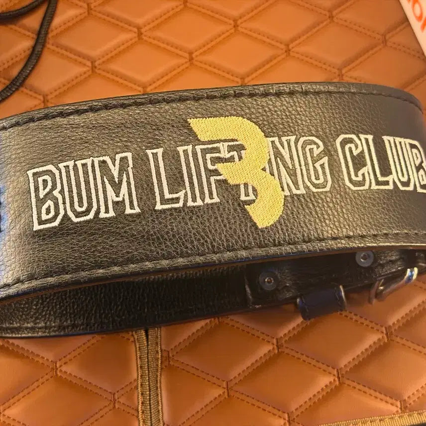 [BUNJANG] Chris Bumstead Lifting Belt / M] 크리스범스테드 크범 리프팅벨트 헬스벨트