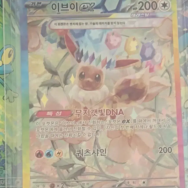 [BUNJANG] Pokemon Card Eevee EX 223/187 SAR / 이브이 EX 223/187 SAR