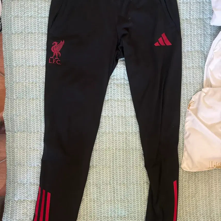 [BUNJANG] Liverpool FC 24/25 Training Pants (Size L) / 리버풀 24/25 트레이닝 팬츠