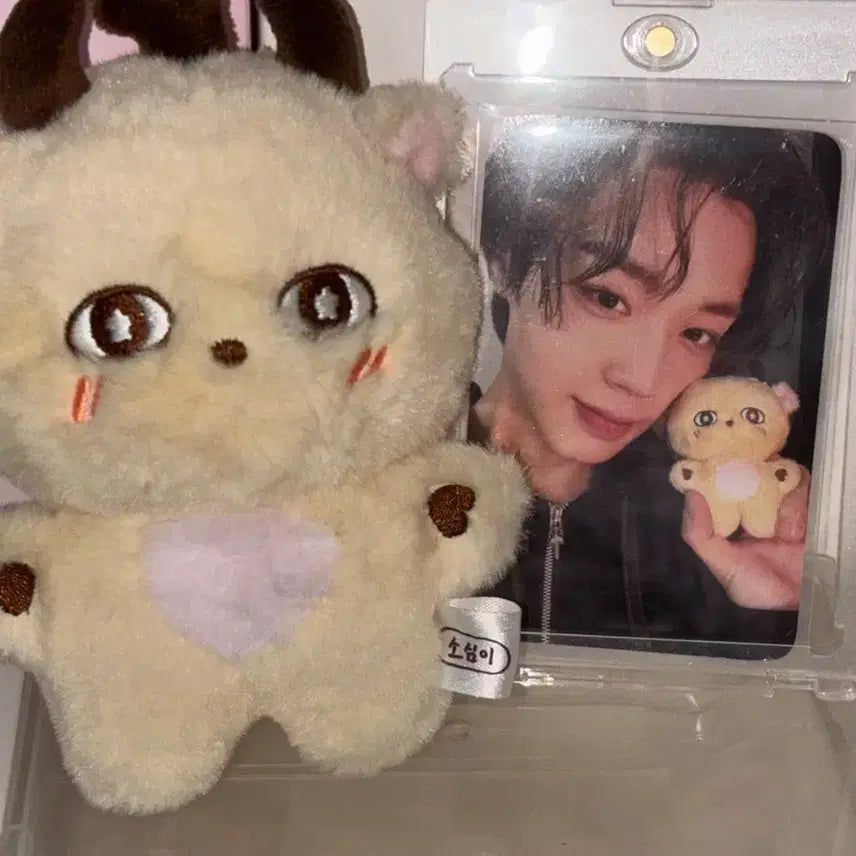 [BUNJANG] Park Jihoon "Sosimi" & Byeon Woo Seok Season's Greetings Set / 박지훈 소심이&변우석 시즌그리팅 세트 판매