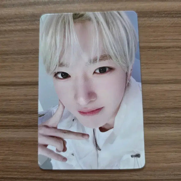 [BUNJANG] NCT WISH Sakuya Photocard / 엔시티위시 사쿠야 포토카드 양도