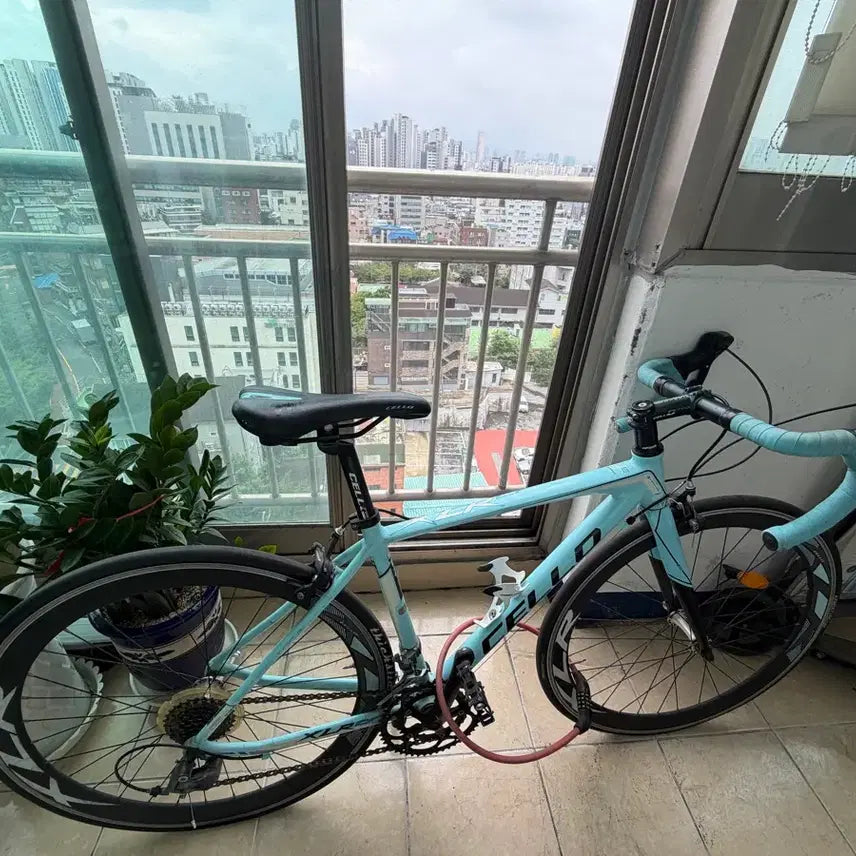 [BUNJANG] Cello XLR CF Road Bike (440mm Frame) / 첼로 XLR CF 440사이즈 로드자전거