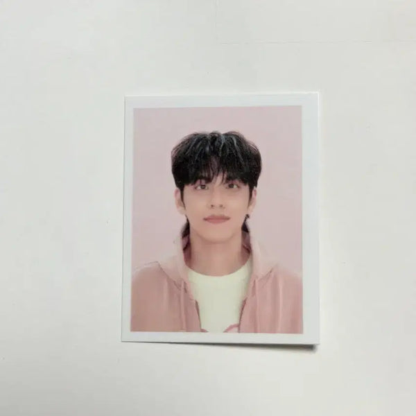 [BUNJANG] DAY6 Young K 2026 Season's Greetings ID Photo / 데이식스 원필 증사 2026 시즌그리팅 증명사진