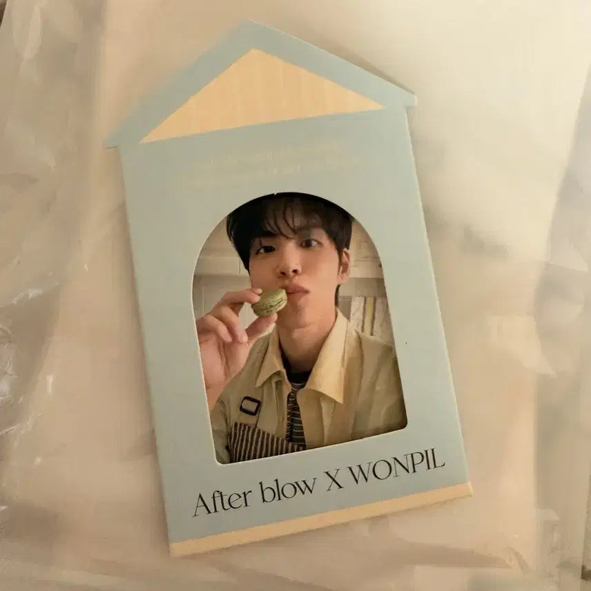 [BUNJANG] DAY6 Wonpil Everglow Photocard / 원필 애블포카