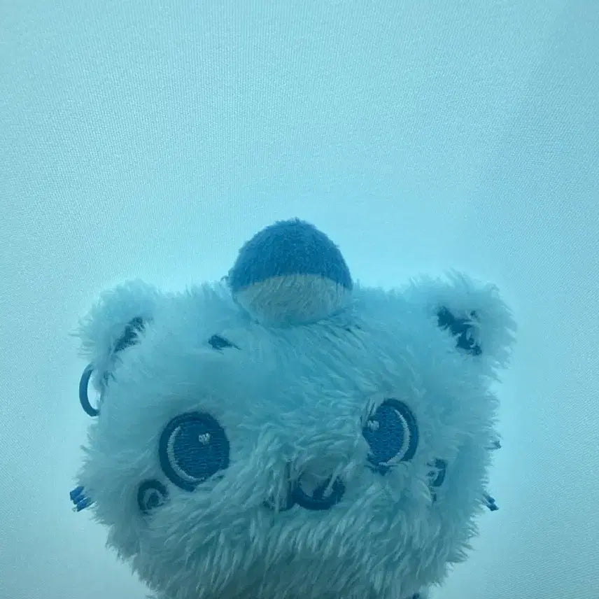 [BUNJANG] Color Wish Doll Kuri / 컬러 위시돌 쿠리