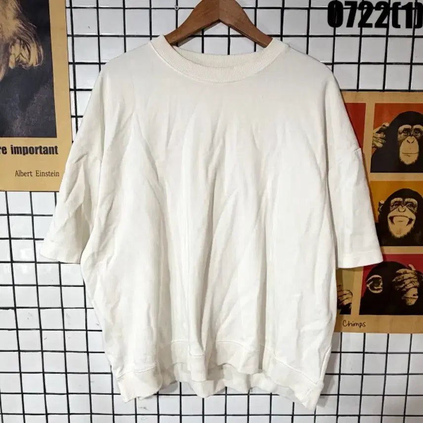 [BUNJANG] Zara Short Sleeve Sweatshirt Ivory XL / 자라 반팔 맨투맨 아이보리 XL