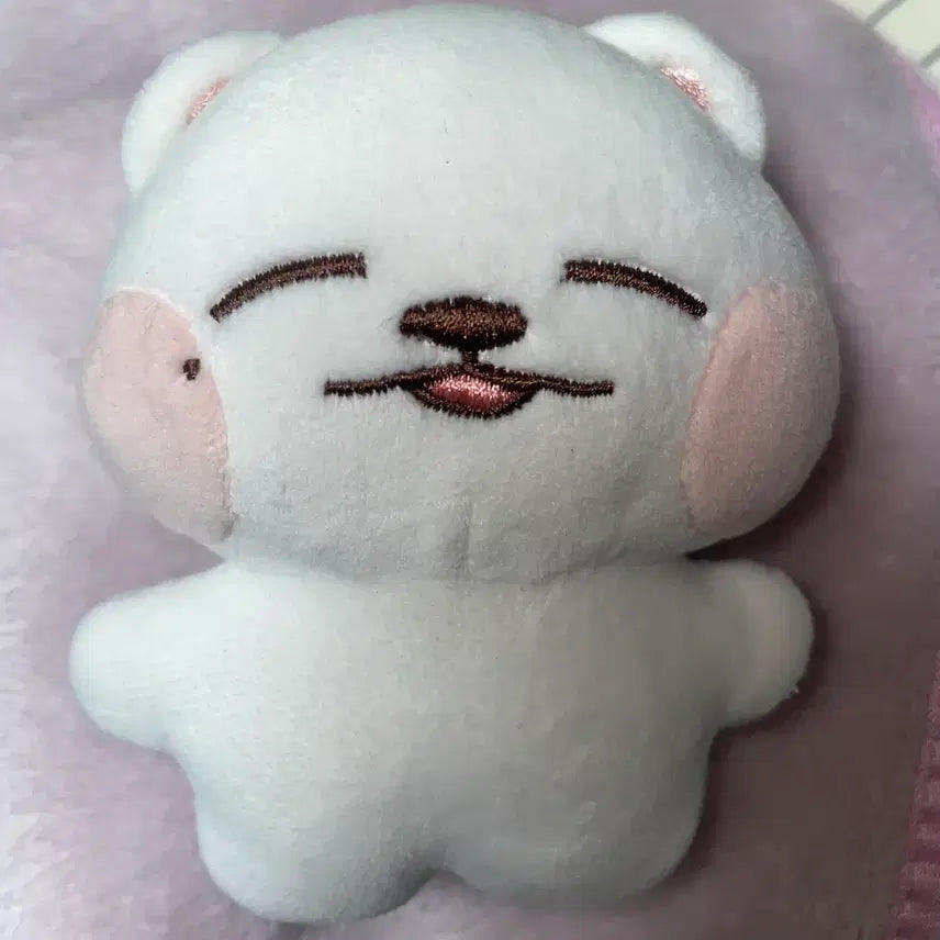 [BUNJANG] NCT Dream Jeno Jenppangi Doll / 엔시티 드림 제노인형 젠빵이
