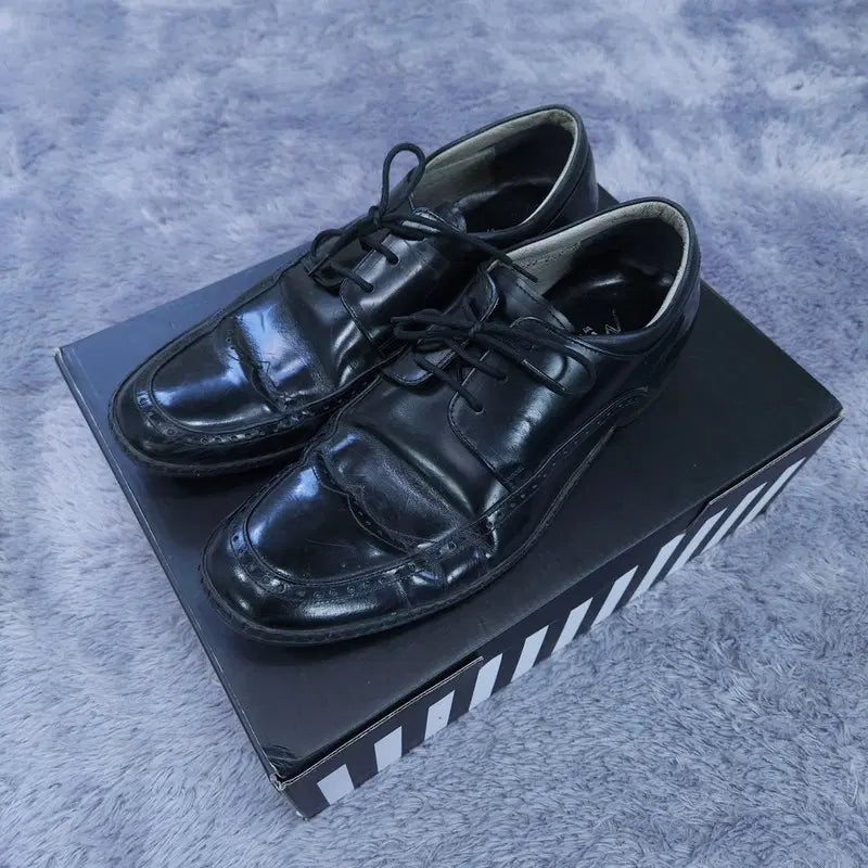 [BUNJANG] Tandy Loafer Shoes 255 / 255 탠디 로퍼 구두 | 0715A38