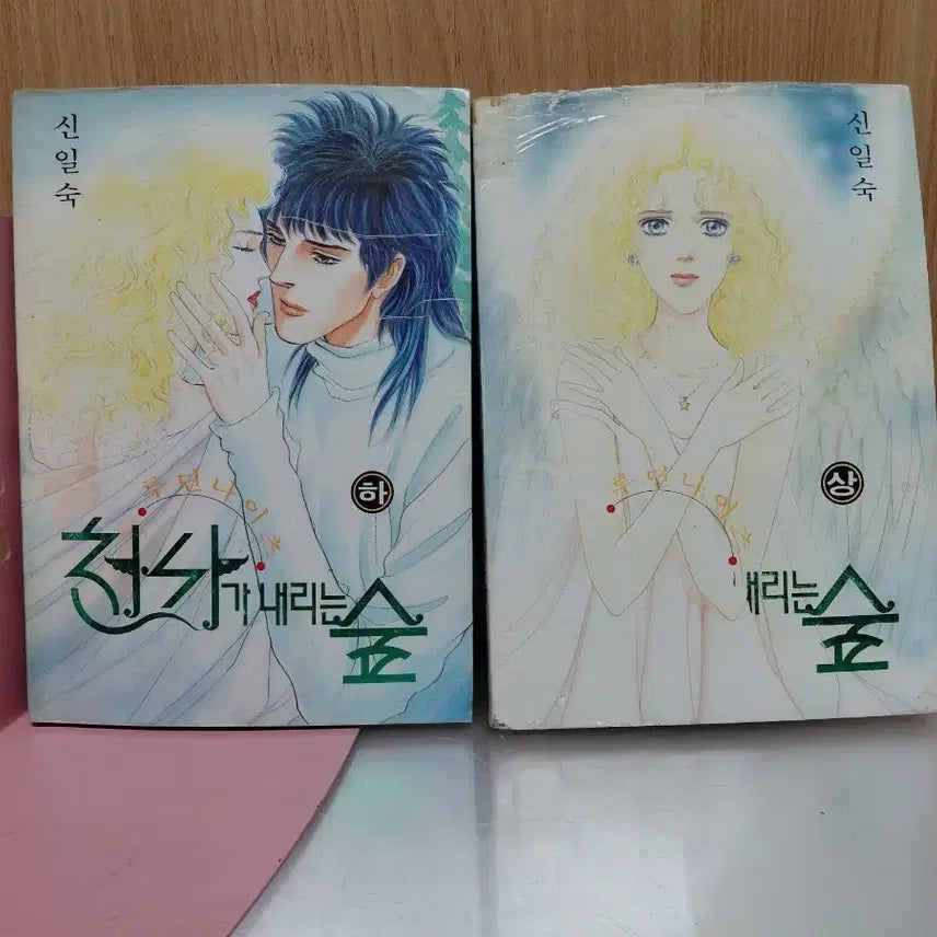 [BUNJANG] Shin Il-sook Angel's Forest (Vol. 1 & 2) Set / 신일숙 천사가 내리는 숲 (하)/(상) 세트,,만화