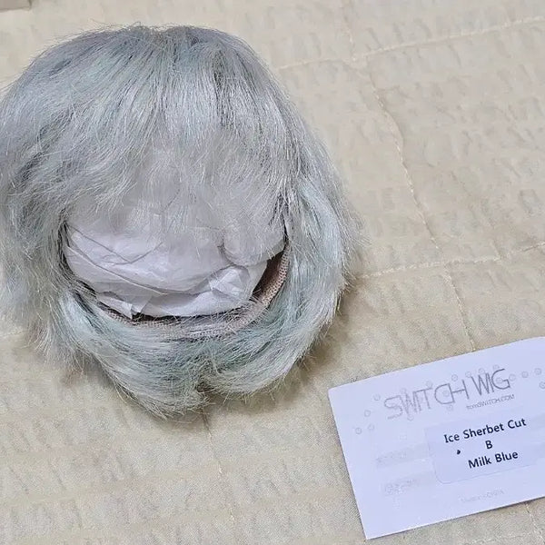 [BUNJANG] Switch Doll B Ice Sherbet Cut Milk Blue / 구체관절인형 스위치 B 아이스셔벗컷 밀크블루