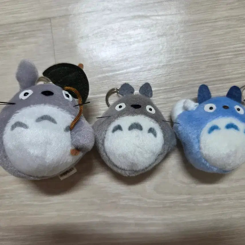 [BUNJANG] Totoro Keyring Set (3 Pieces) / 토토로 키링 3개 세트