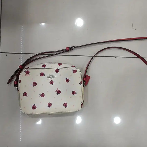 [BUNJANG] Ladybug Print Cute Mini Crossbody Bag / 무당벌레프린트 귀여운 여성용 미니 크로스백 가방 중고라 오염이염있어요