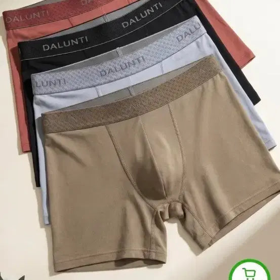 [BUNJANG] Dalunty Men's 10-Pack Assorted Color Boxer Briefs Set / 달룬티 남성드로즈 팬티 혼합색상 10장 일괄