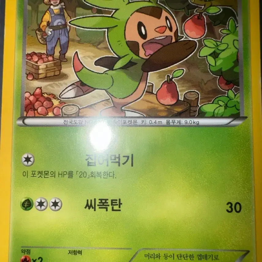 [BUNJANG] Pokemon Card Ancient Tochiramon XY 2015 / 포켓몬 카드고대 도치마론 XY 2015