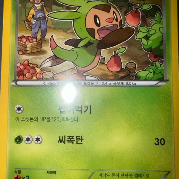 [BUNJANG] Pokemon Card Ancient Tochiramon XY 2015 / 포켓몬 카드고대 도치마론 XY 2015