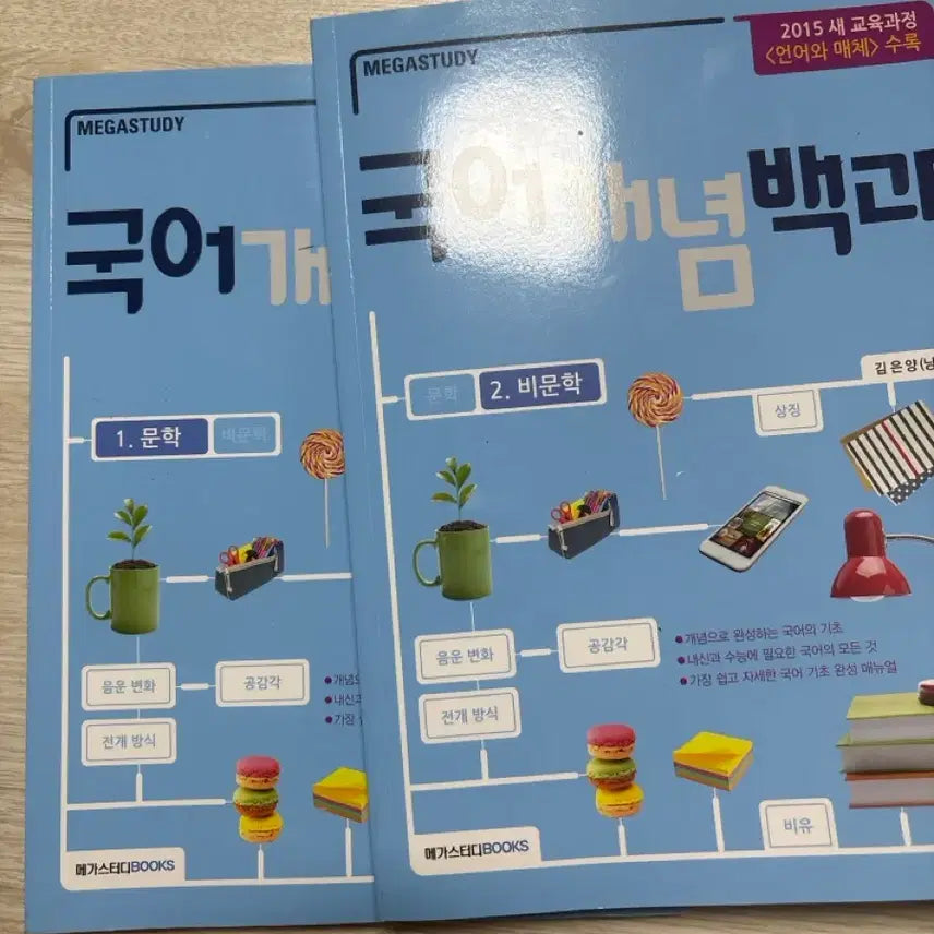 [BUNJANG] Megastudy Korean Language Concept Encyclopedia Literature & Non-Literature Set / 메가스터디 국어 개념 백과 문학 비문학