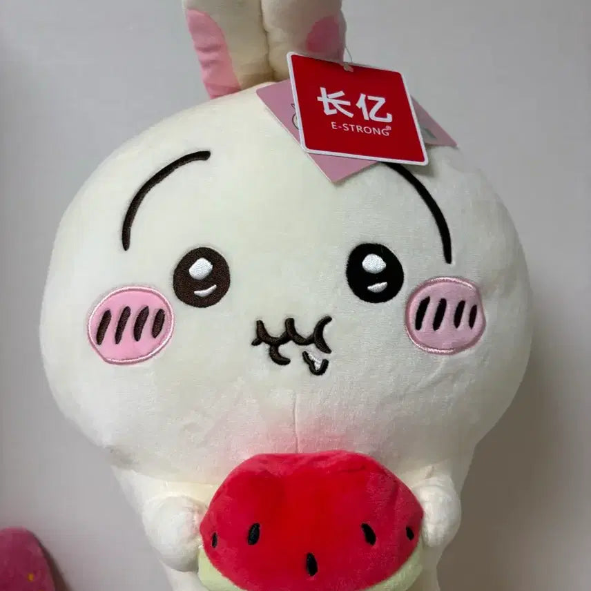 [BUNJANG] Watermelon Usagi Plush Toy / 수박 우사기
