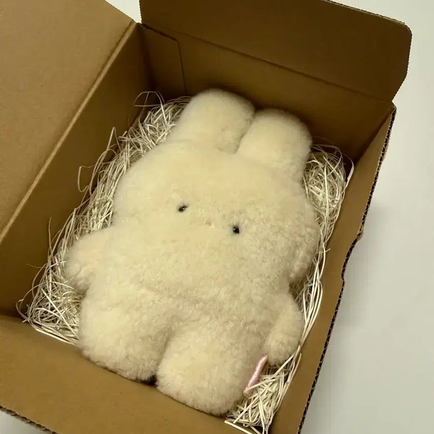 [BUNJANG] Fuwafuwamofumofu Artist Rabbit Plush Toy / fuwafuwamofumofu 작가님 토끼 인형