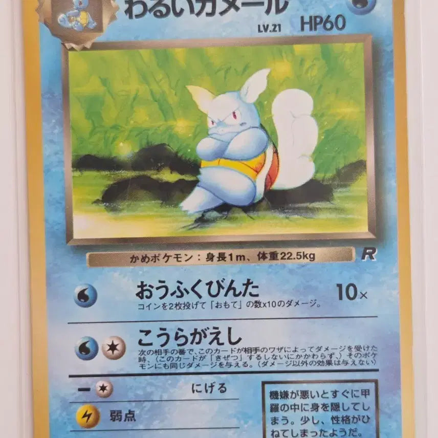 [BUNJANG] Pokemon Card Team Rocket Dark Wartortle (Old Back) Japanese / [일판] 포켓몬카드 올드백 빈티지 나쁜 어니부기 (Dark Wartortle) 정품 판매