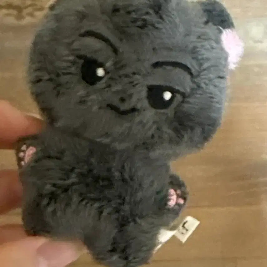 [BUNJANG] ENHYPEN Jay US Cat Figure / 엔하이픈 제이 미국냥 판매