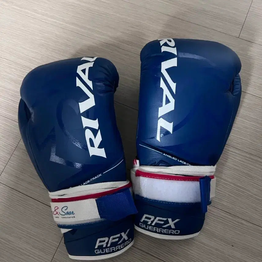 [BUNJANG] Rival Gloves 8oz / 라이벌 글러브