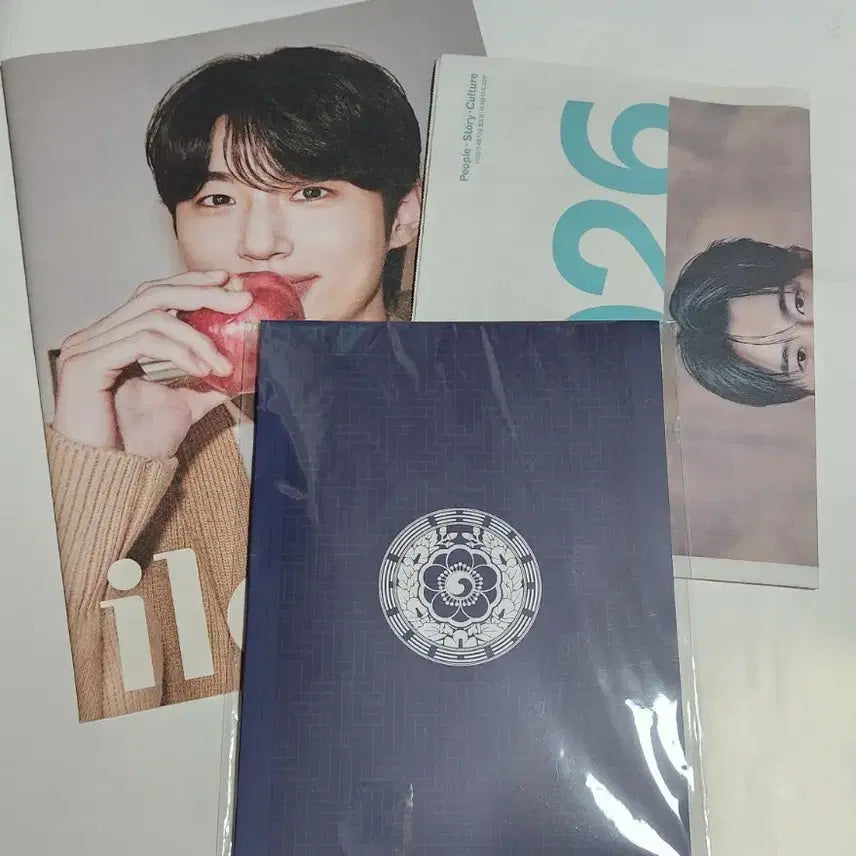 [BUNJANG] Byun Woo-seok 21st Century Lord Poster Set / 21세기대군부인 포스터 일간스포츠화보 변우석포스터 이안대군 일룸화보