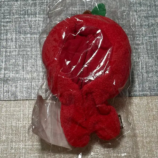 [BUNJANG] DAY6 Denimals Tomato Outfit / 데이식스 데니멀즈 토마토 옷