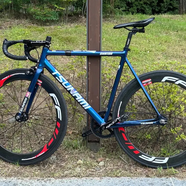 [BUNJANG] Tsunami Chameleon Track Bike Frame (Half Build) / 쓰나미 카멜레온 반차