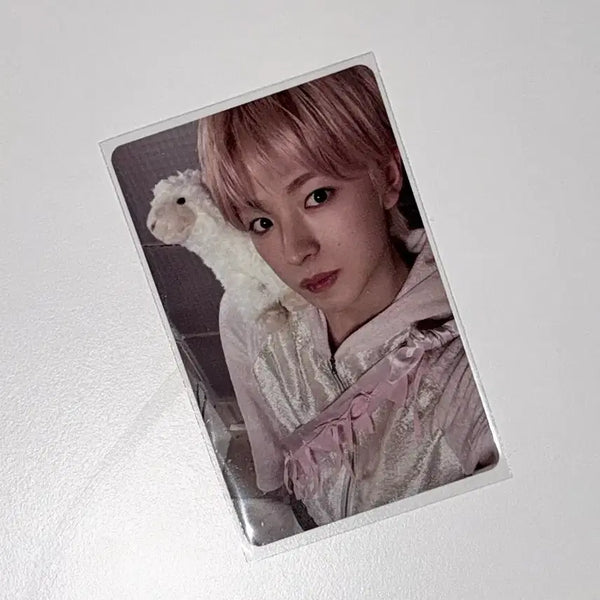 [BUNJANG] NCT WISH Osaki Yuushi Smg Minnie Photocard / [엔시티위시] 오드투러브 스미니 유우시 포카 판매