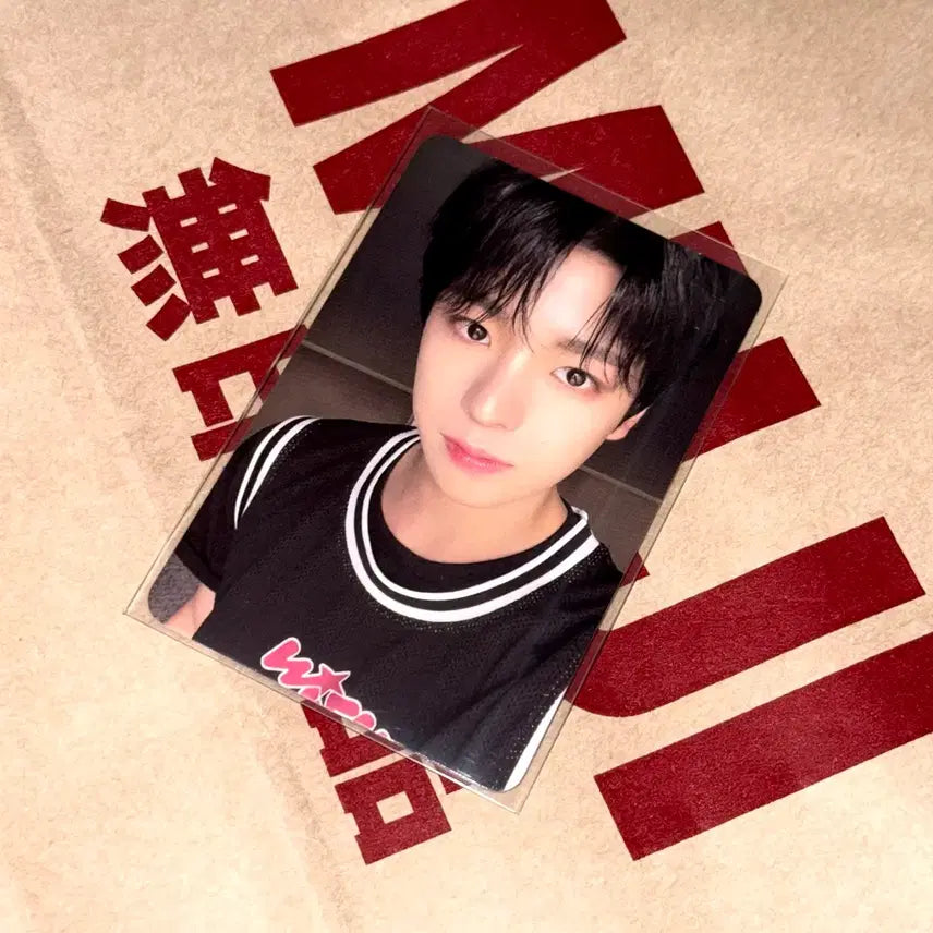 [BUNJANG] NCT WISH Yushi Steady Album Photocard / 엔시티 위시 스테디 앨범 유우시 포카