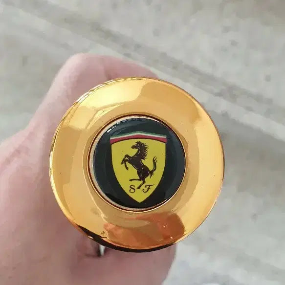 [BUNJANG] Premium Rose Gold Ferrari Umbrella Set (5 pcs) / 최고급 2중 암막 최고급 로즈골드 페라리 우산 5개 세트
