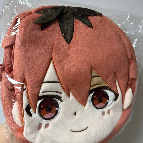 [BUNJANG] Frieren: Beyond Journey's End Stark Bag / 프리렌 쿠지 슈타르크 가방