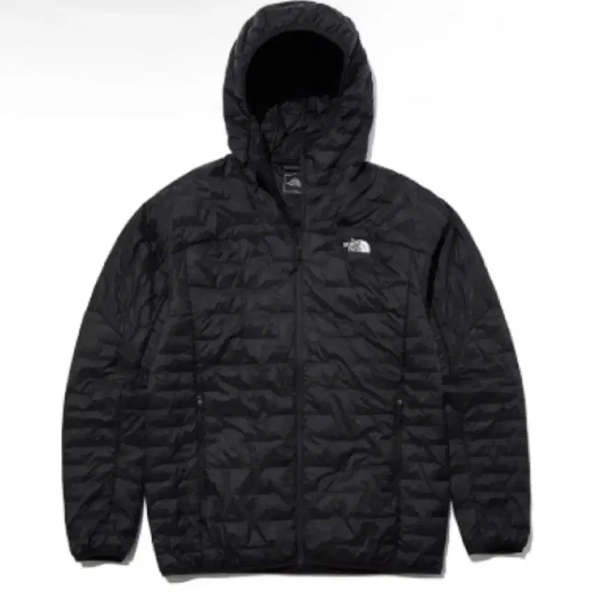 [BUNJANG] The North Face Lightweight Down Jacket Men's Size L (100) / 노스페이스 경량 패딩 L(100)