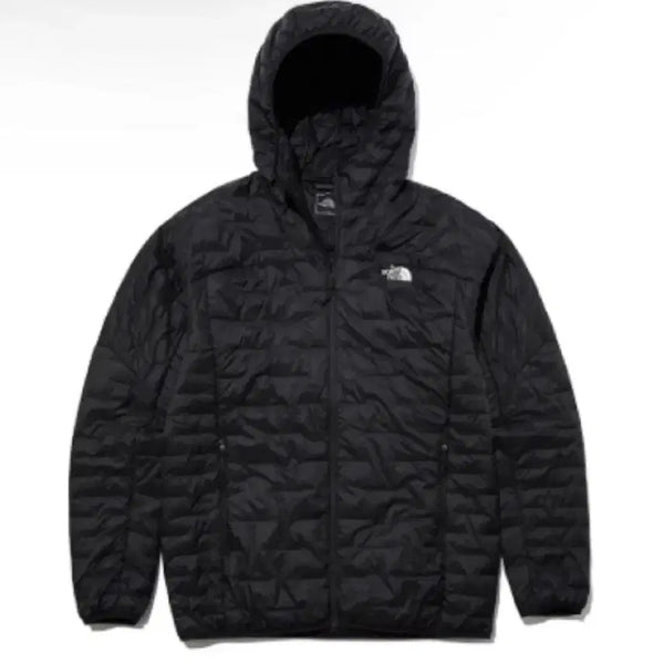 [BUNJANG] The North Face Lightweight Down Jacket Men's Size L (100) / 노스페이스 경량 패딩 L(100)