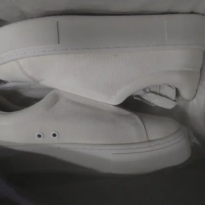 [BUNJANG] ETIS Celadon Ceramic Canvas White / 이티스 도자