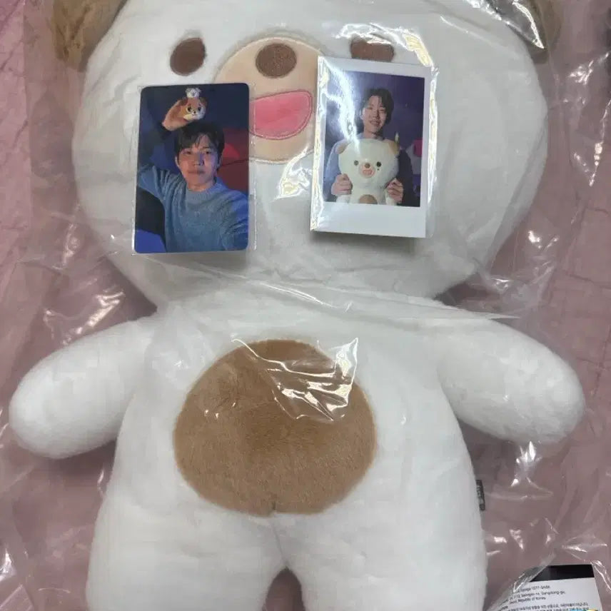 [BUNJANG] DAY6 Jae Photo Doll Bundle Set / 데에식스 자쁘멀