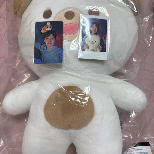 [BUNJANG] DAY6 Jae Photo Doll Bundle Set / 데에식스 자쁘멀
