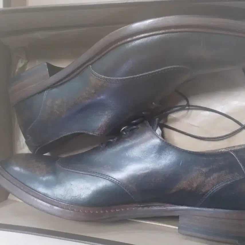 [BUNJANG] Buttero Leather Shoes / 부테로 구두