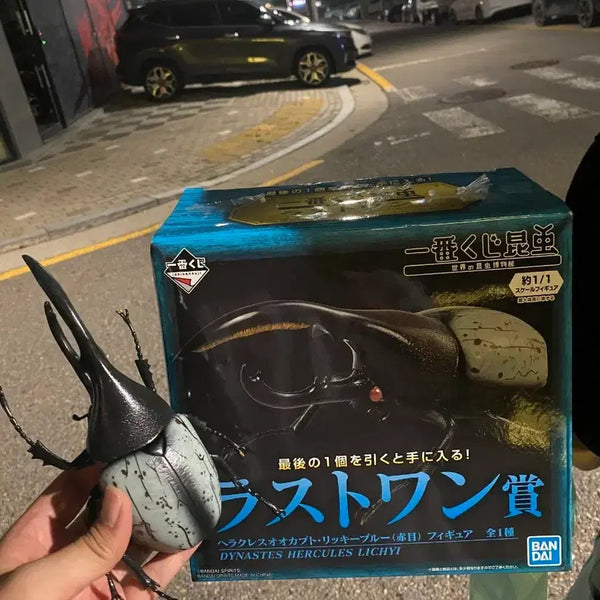 [BUNJANG] Ichiban Kuji Hercules Beetle Last One Prize / 곤충 제일복권 헤라클레스 장수풍뎅이 라스트원 적목, 리키
