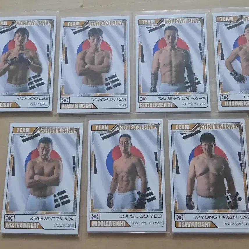 [BUNJANG] Black Combat Story Card Korea Alpha Team Full Set / 블랙컴뱃 이야기카드 블랙컵 대한민국 코리아 알파팀 전종