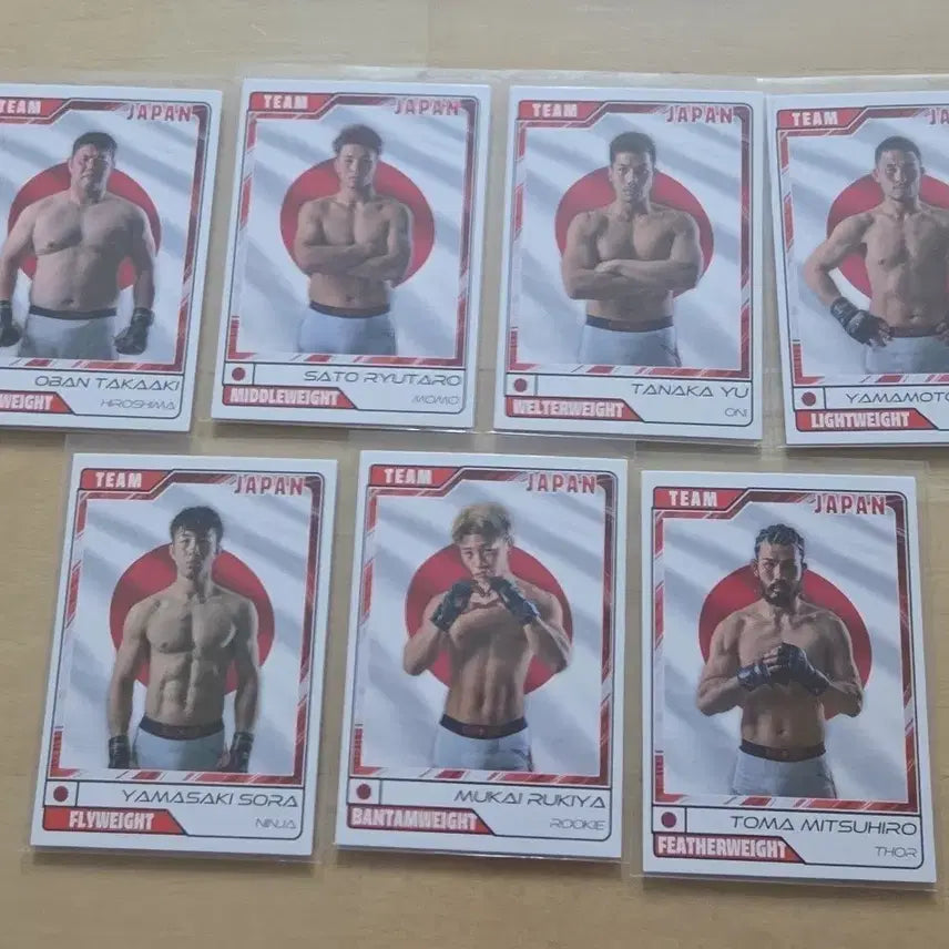 [BUNJANG] Black Combat Story Card Black Cup Japan Full Set / 블랙컴뱃 이야기 카드 블랙컵 JAPAN 일본 전종