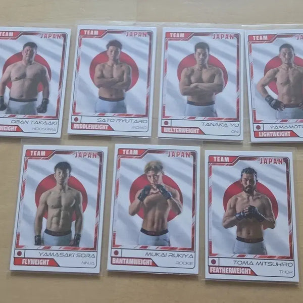 [BUNJANG] Black Combat Story Card Black Cup Japan Full Set / 블랙컴뱃 이야기 카드 블랙컵 JAPAN 일본 전종