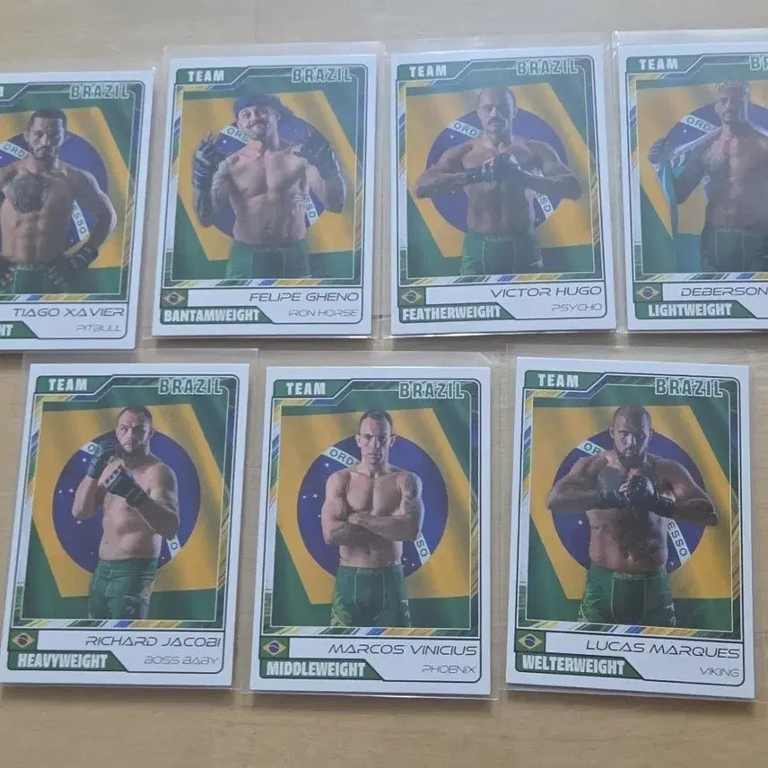 [BUNJANG] Black Combat Story Card Black Cup Brazil Full Set / 블랙컴뱃 이야기 카드 블랙컵 BRAZIL 브라질 전종