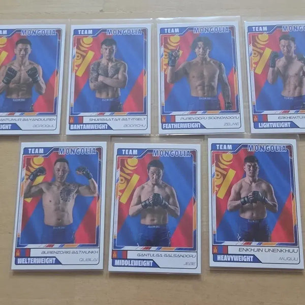 [BUNJANG] Black Combat Mongolia Full Set Story Cards / 블랙컴뱃 이야기 카드 블랙컵 MONGOLIA 몽골 전종