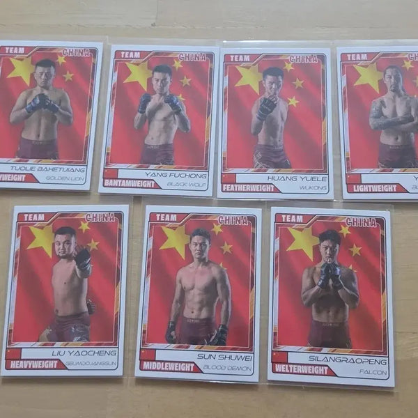 [BUNJANG] Black Combat Story Card Black Cup China Full Set / 블랙컴뱃 이야기 카드 블랙컵 CHINA 중국 전종